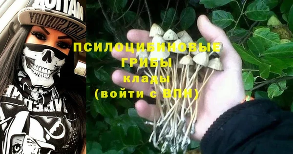 mix Нея