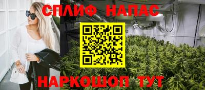 гидра Балашиха
