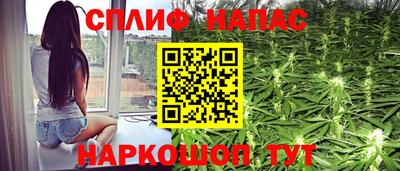 гидра Балашиха