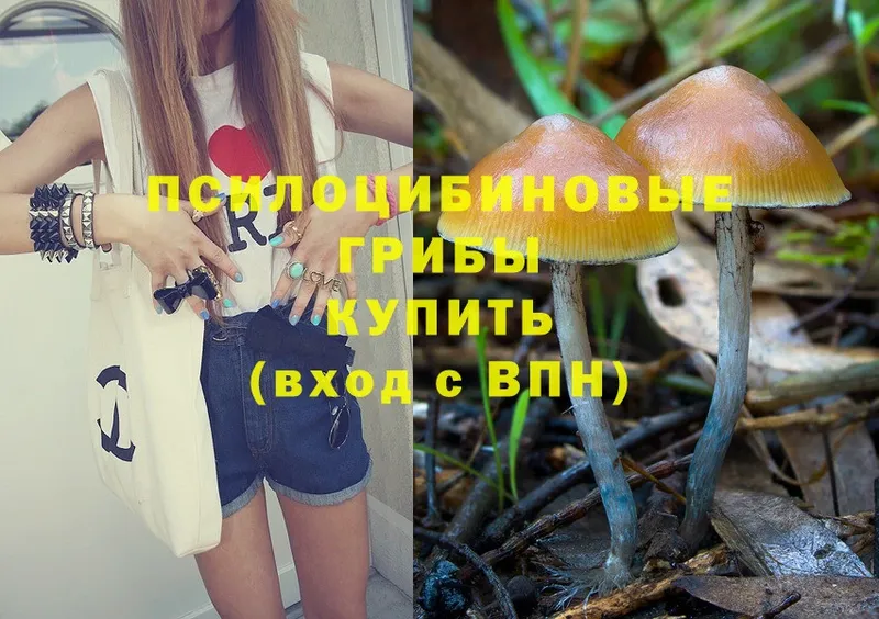 площадка какой сайт  Петровск  Галлюциногенные грибы Magic Shrooms  цена  