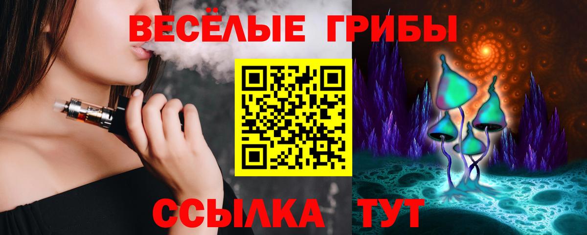 Галлюциногенные грибы Psilocybine cubensis  Галлюциногенные грибы Psilocybine cubensis  Петровск 